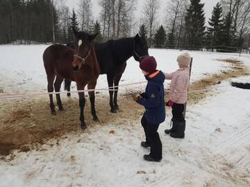 Фото номера Шале с двумя спальнями Шале Pistoretki Toivakka г. Toivakka 27